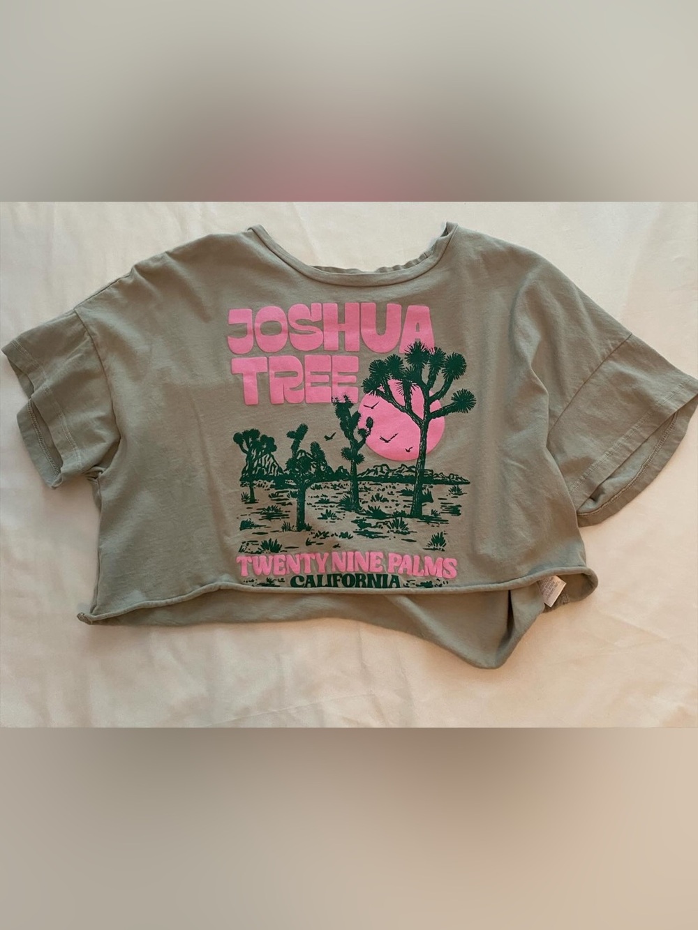 Altar’d State Joshua Tree Graphic Crop Tee - Pink & Green